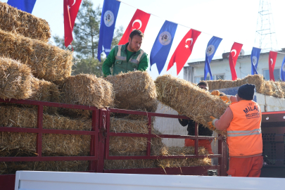 Milas’ta üreticilere yem ve saman desteğine devam