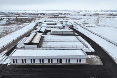 Kayseri Kocasinan'dan sokak hayvanları için sıcak yuva