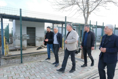 Adanalı veterinerlerden hayvan bakımevine inceleme