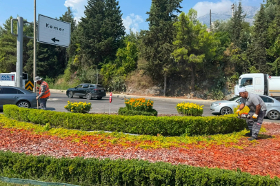Antalya'da yeşil alanlarda genel temizlik ve bakım yapıldı