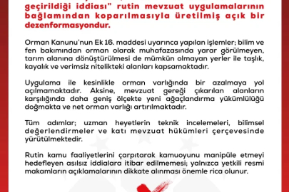 “Orman alanlarının arsa vasfına geçirildiği” iddiasına DMM yanıtı